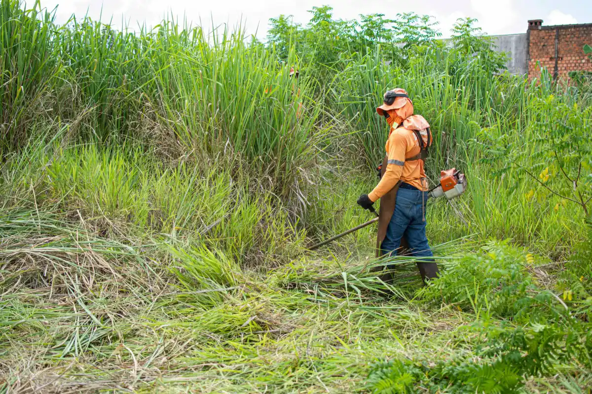 A worker in protective gear cutting back tall overgrown vegetation