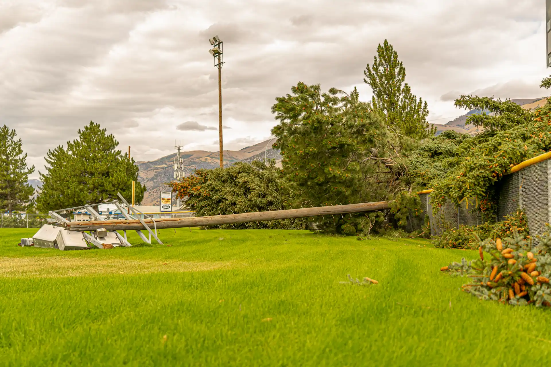 Fallen trees and downed poles across open ground after a storm