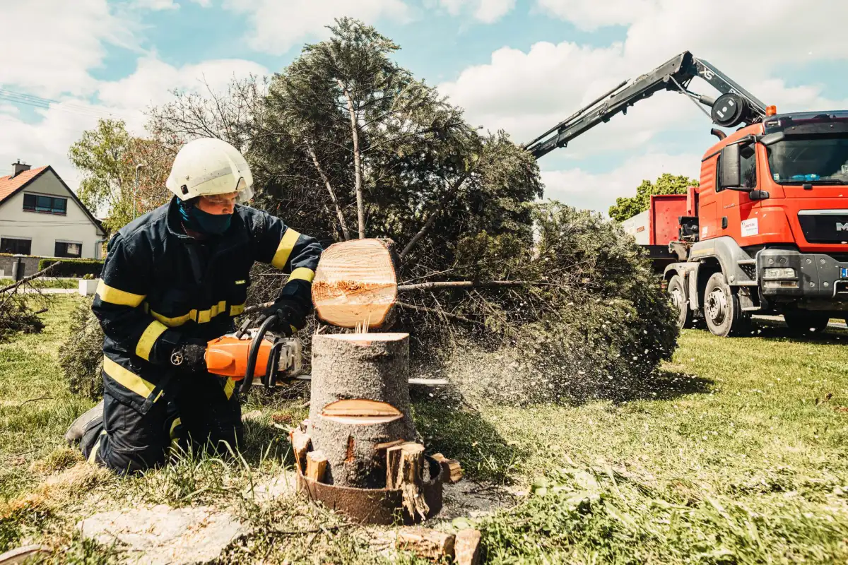 A worker cutting a fallen tree with a chainsaw alongside a work truck