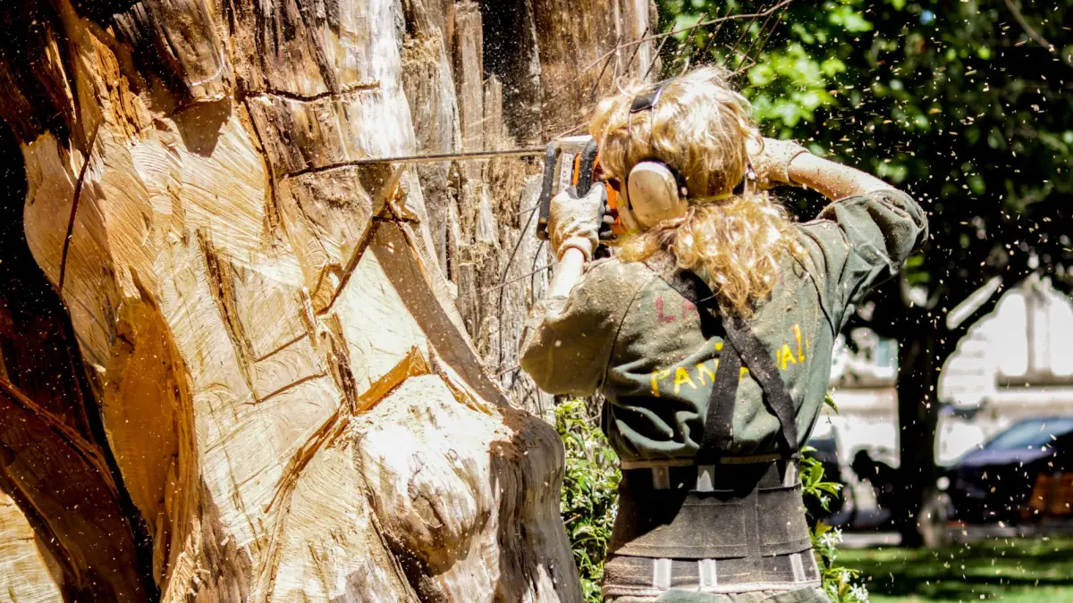 An arborist cutting a large tree trunk with a chainsaw