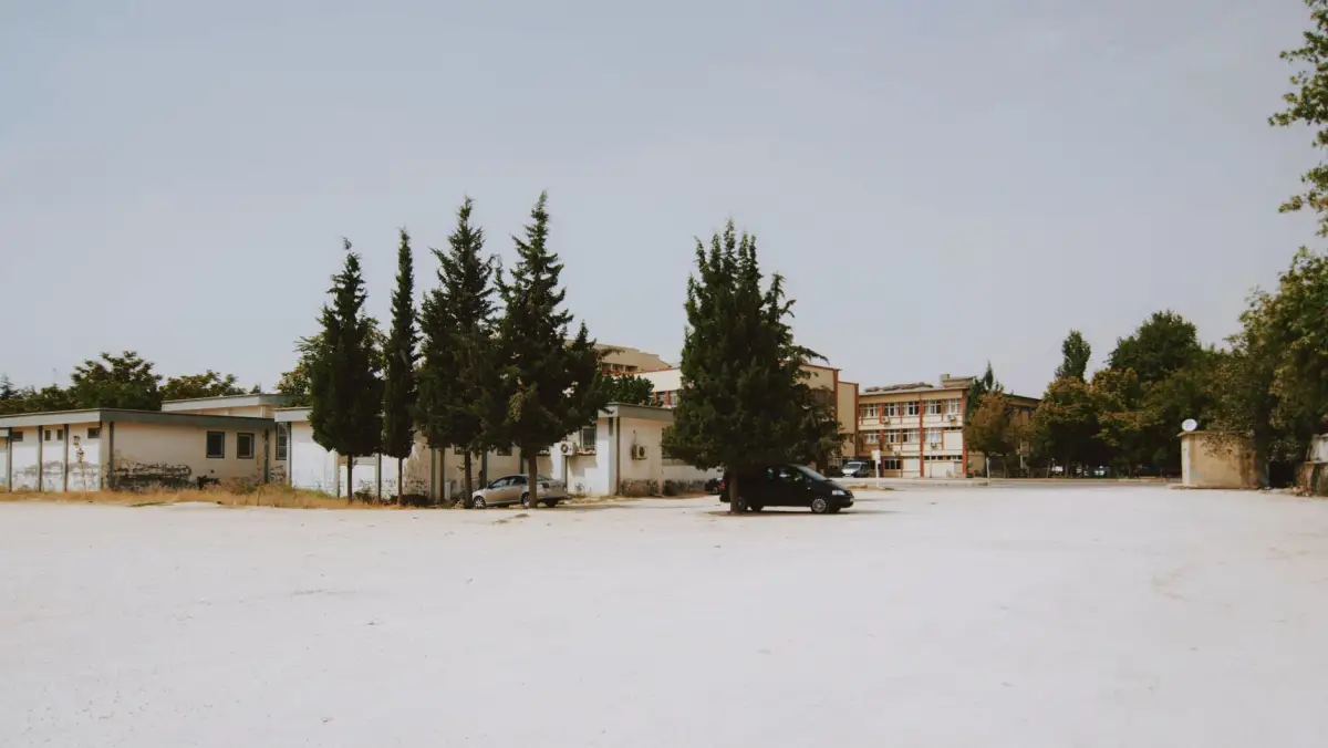 Mature trees standing on an open commercial lot beside buildings