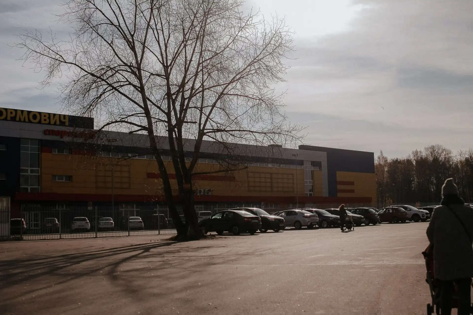 A bare tree casting shadows across a commercial parking lot beside a modern building