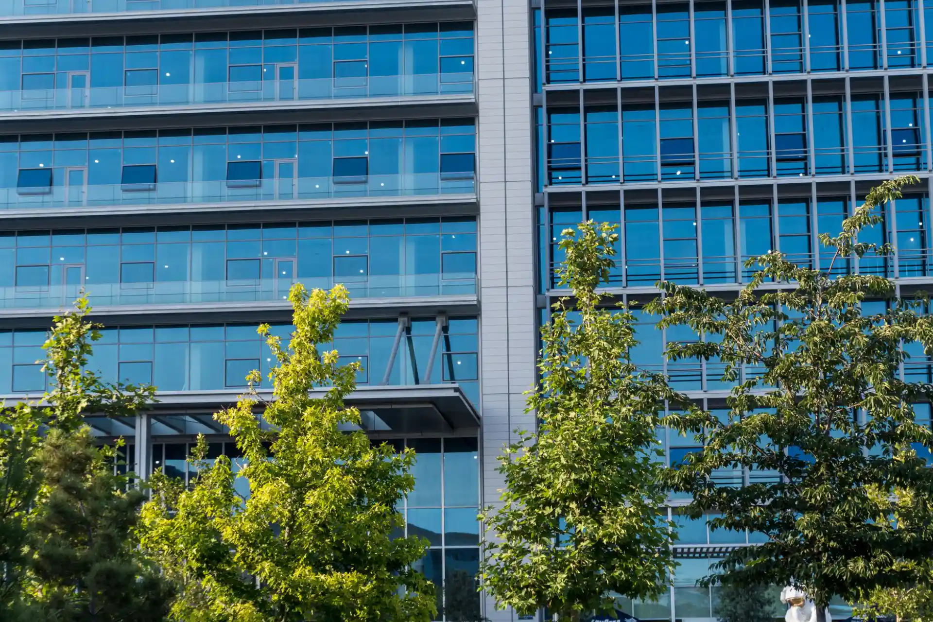 Trees fronting a contemporary glass office building