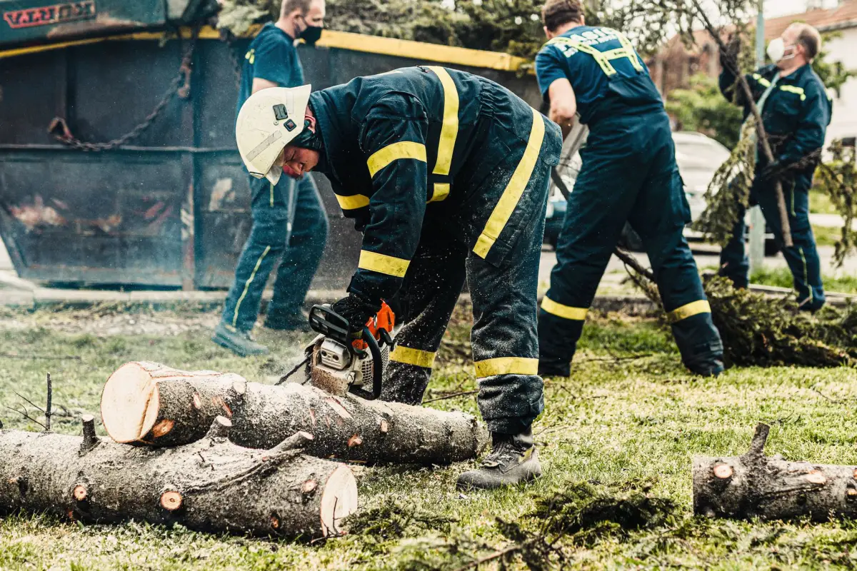 A crew in helmets and protective gear cutting a felled trunk into rounds while others drag brush clear