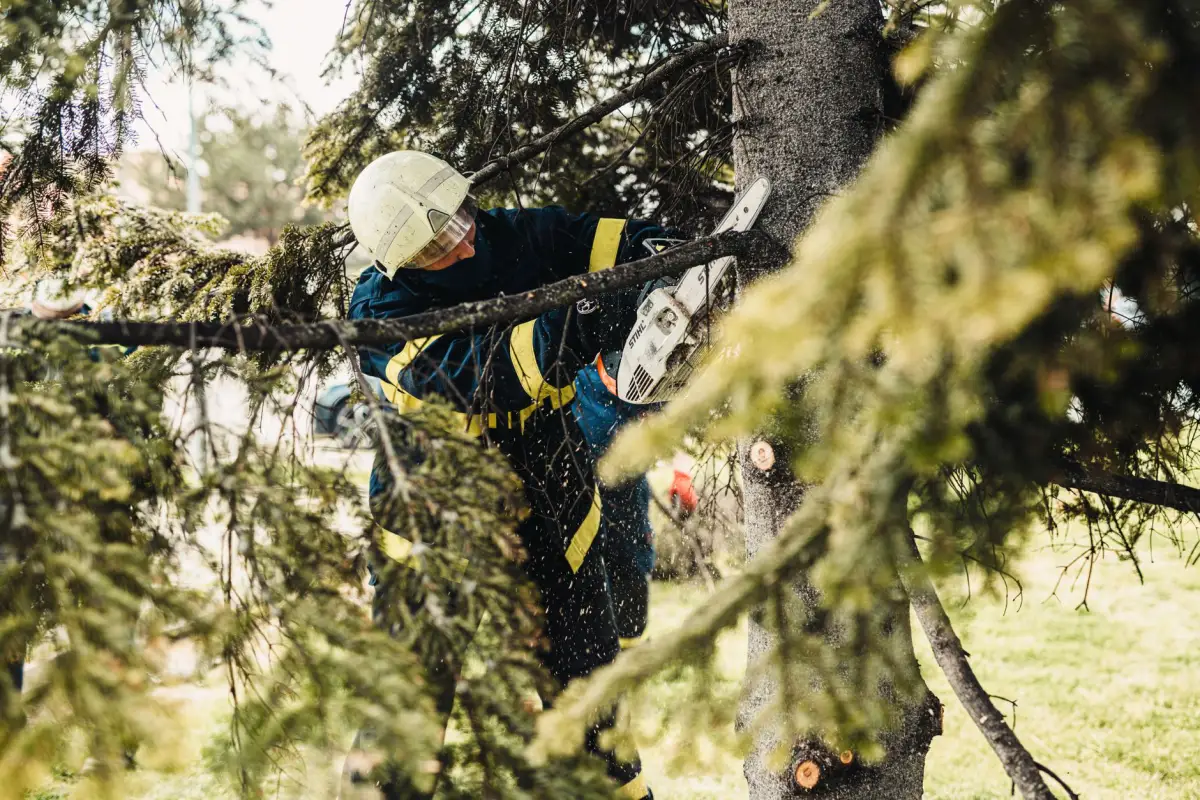 A worker in protective gear cutting fallen tree limbs with a chainsaw