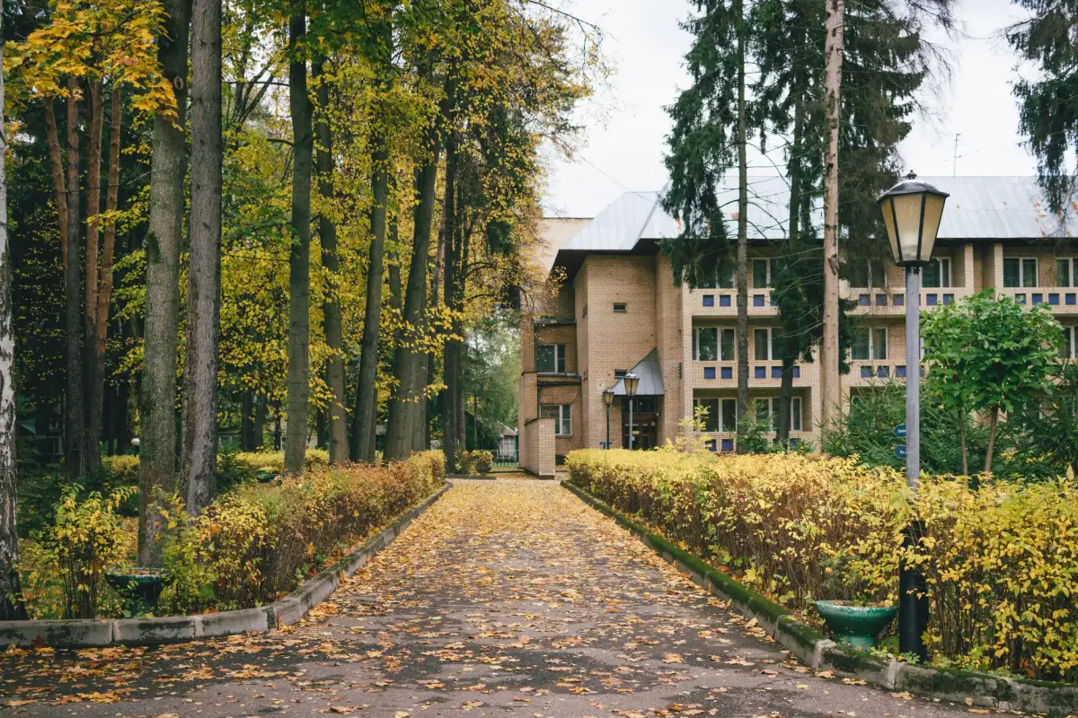A leaf-covered path lined with hedges and mature trees leading to an apartment building