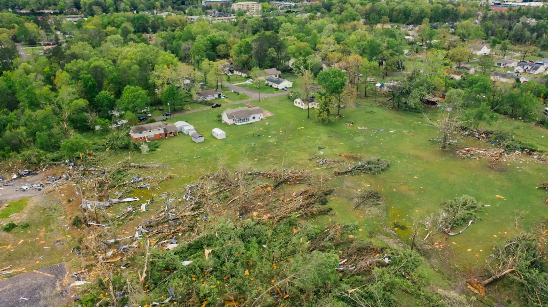 Aerial view of uprooted trees heaped across a meadow after a major storm