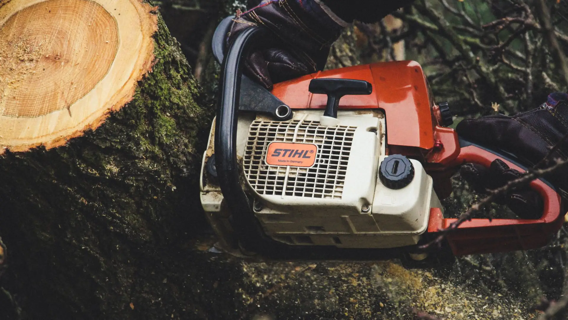 A chainsaw cutting through a tree trunk at ground level, preparing a stump for grinding