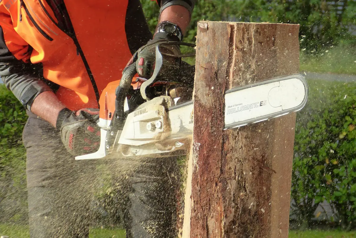 An operator in high-visibility clothing cutting into a standing trunk with a chainsaw, sawdust flying