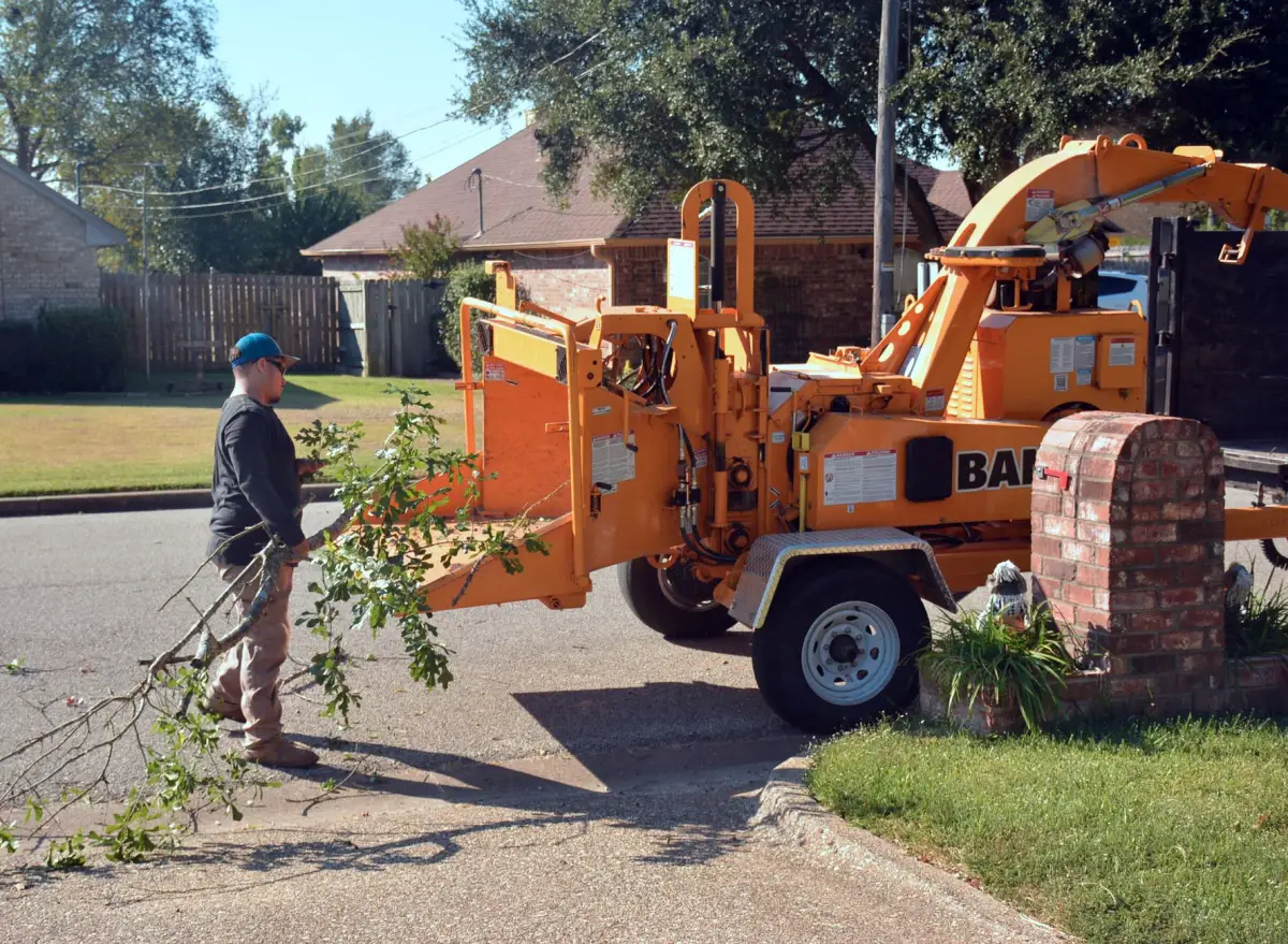Brush being fed into a wood chipper during cleanup after a tree removal